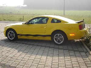 Mustang 001.jpg